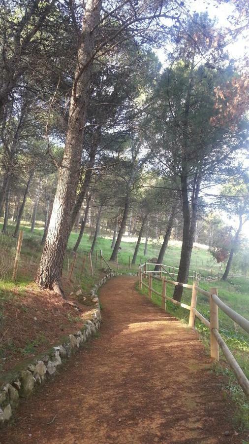 El Duende Del Tejar Hotel El Gastor Bagian luar foto